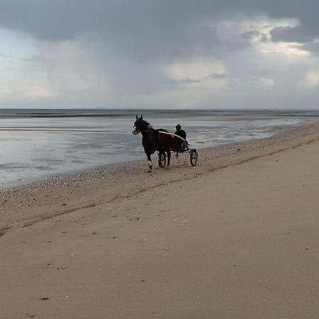 Gites En Normandie En Front De Mer A Asnelles , 3Km D'Arromanches, 10Km De Bayeux Eksteriør billede