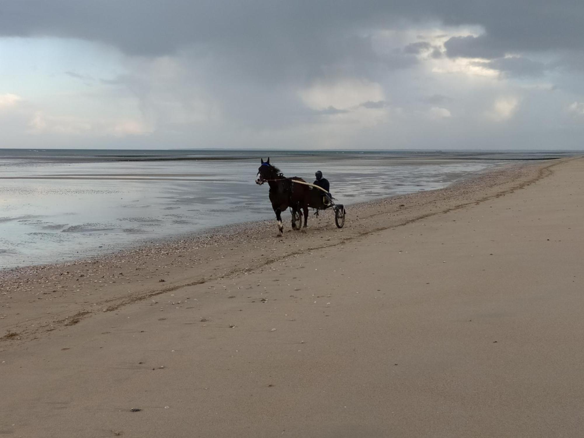 Gites En Normandie En Front De Mer A Asnelles , 3Km D'Arromanches, 10Km De Bayeux Eksteriør billede